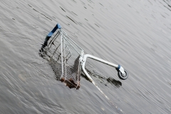 Einkaufswagen im Wasser | Salzburg