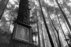 Marterl im Wald | Hirschbach