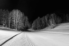 Nachtlanglauf | Faistenau